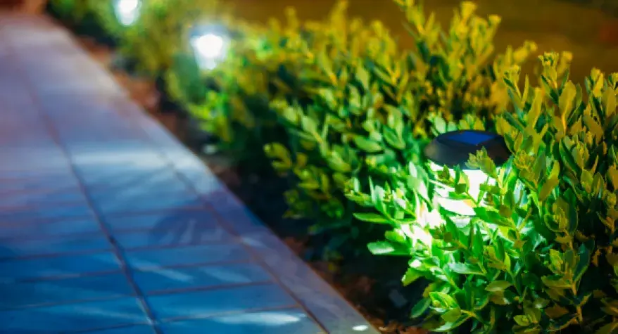 Planning Garden Electrics 